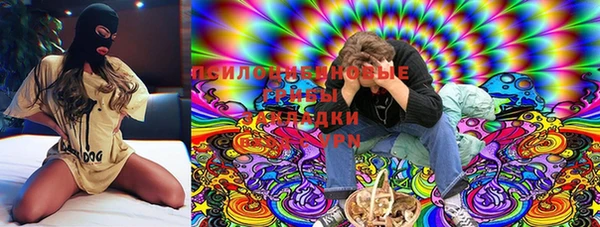хмурый Алзамай