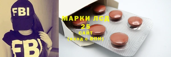 хмурый Алзамай