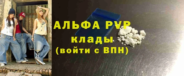 стафф Алексин