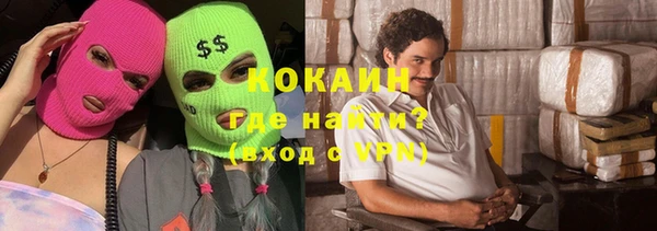 хмурый Алзамай