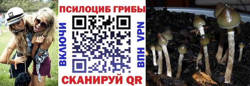 Галлюциногенные грибы MAGIC MUSHROOMS  хочу   Бронницы 