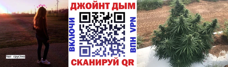 Бошки марихуана THC 21%  даркнет сайт  Бронницы 